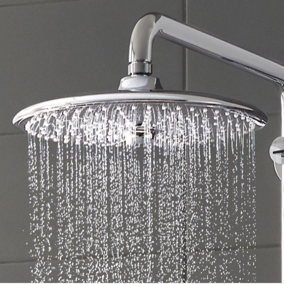 GROHE Euphoria Rain 10 inch 3 Spray Showerhead - Picture 1 of 7